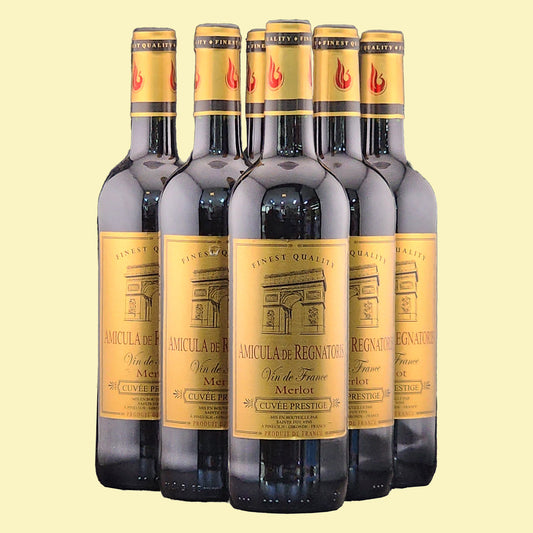 AMICULA DE REGNATORIS