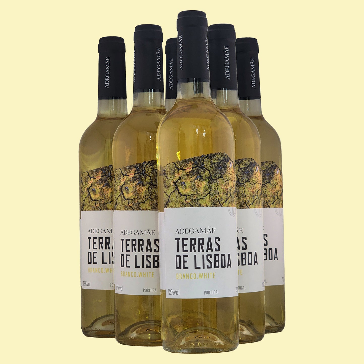 TERRAS DE LISBOA