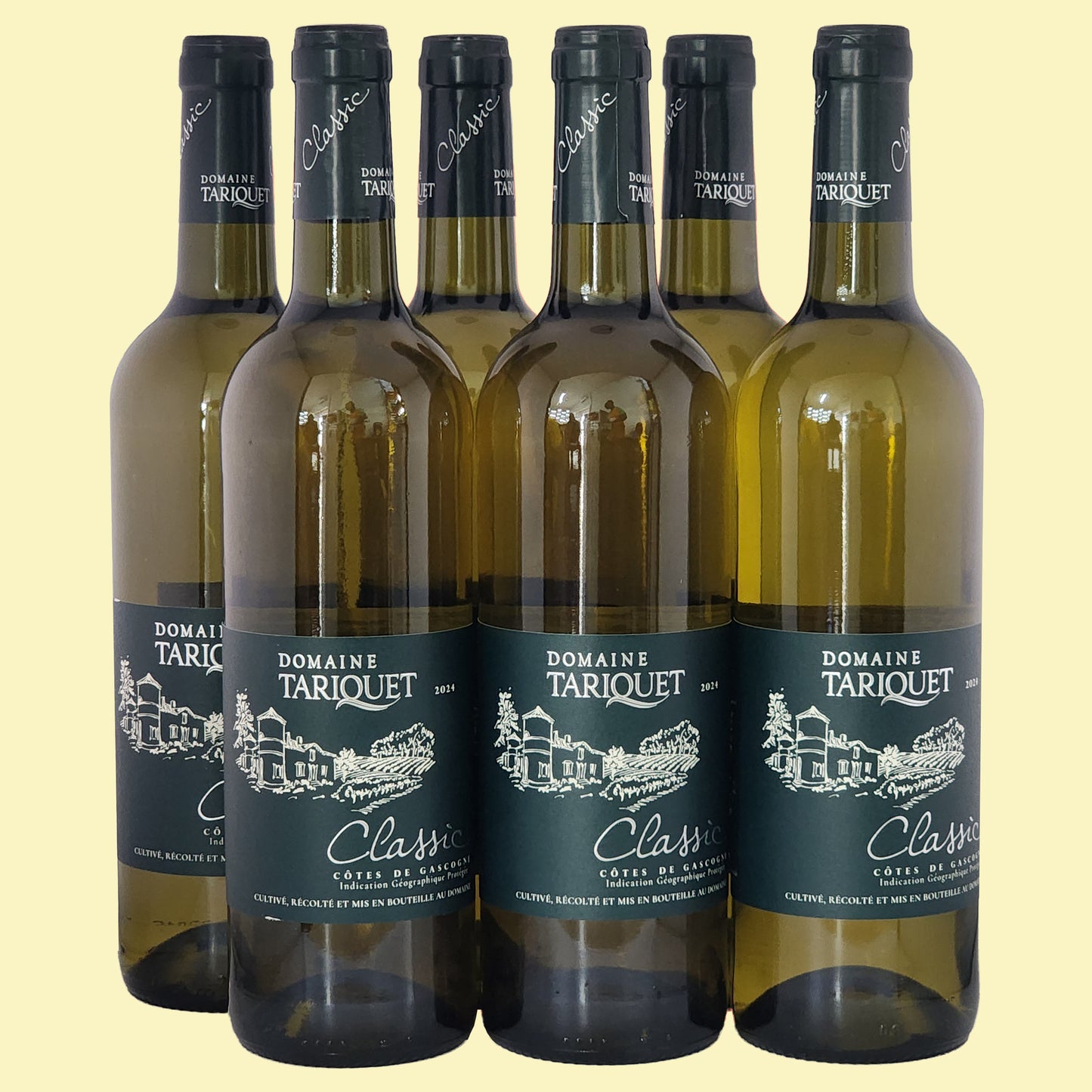 DOMAINE TARIQUET Classic
