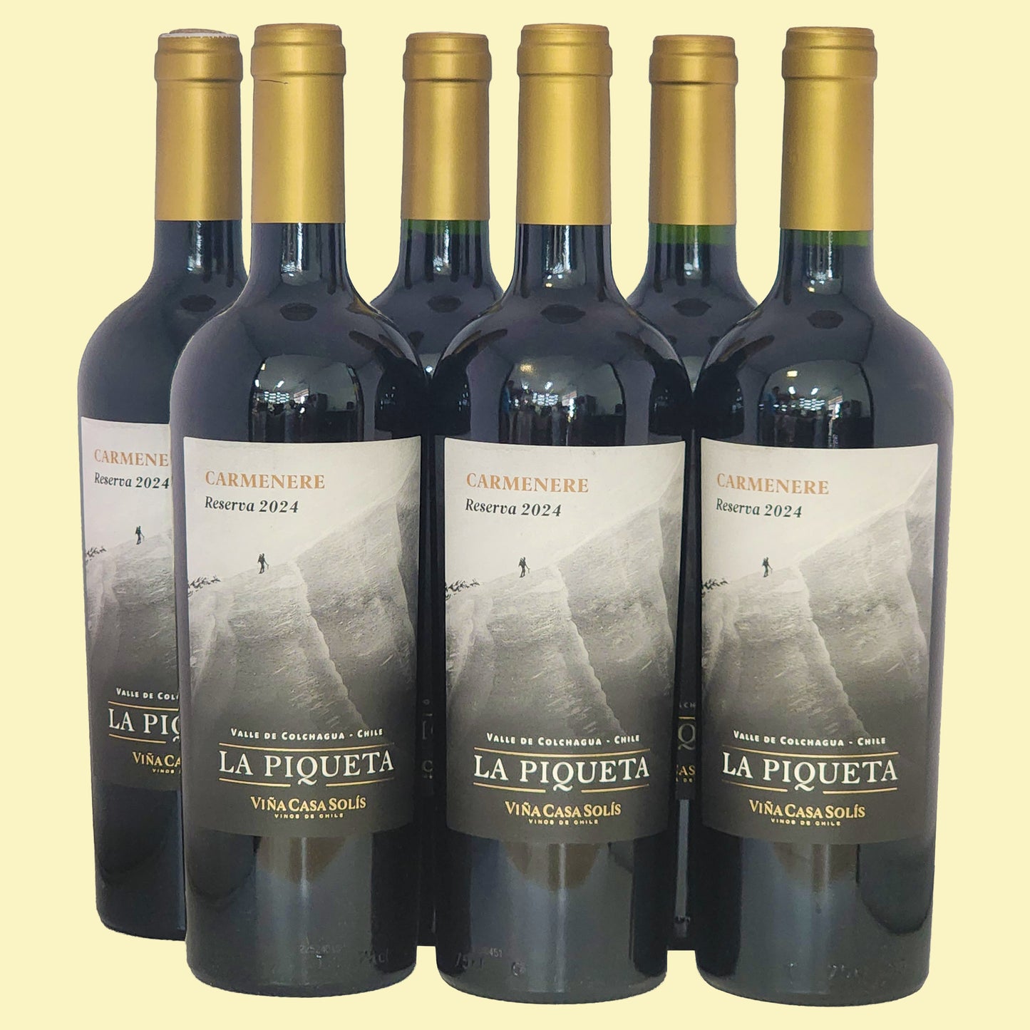 LA PIQUETA Carmenere