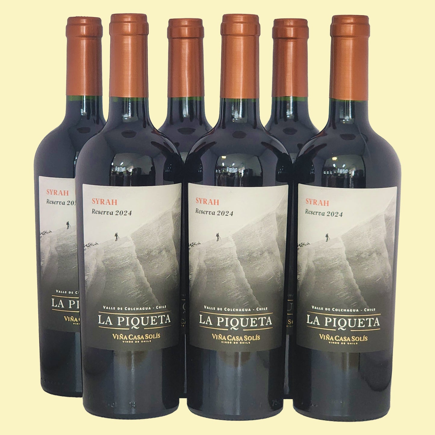 LA PIQUETA Syrah