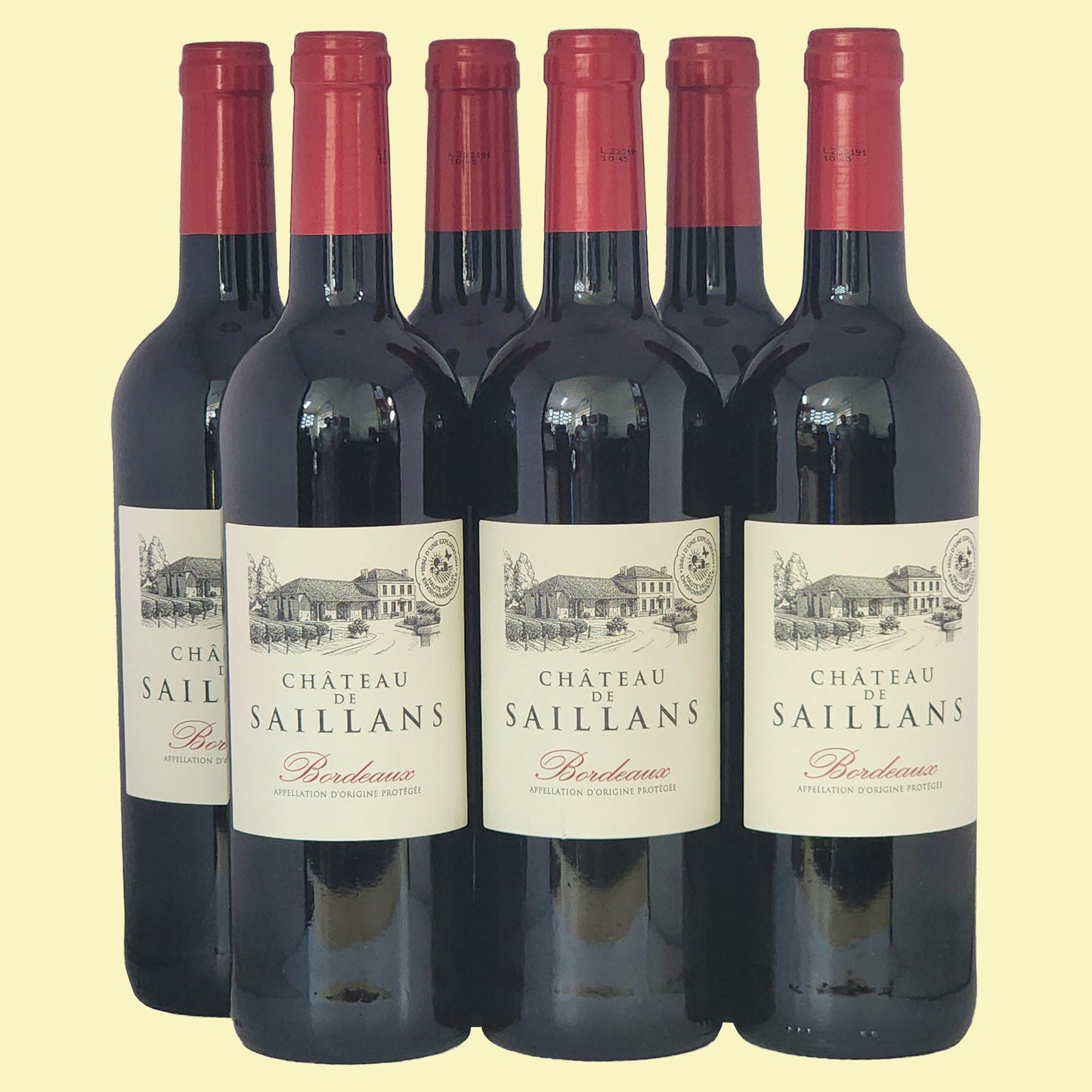 Château DE SAILLANS