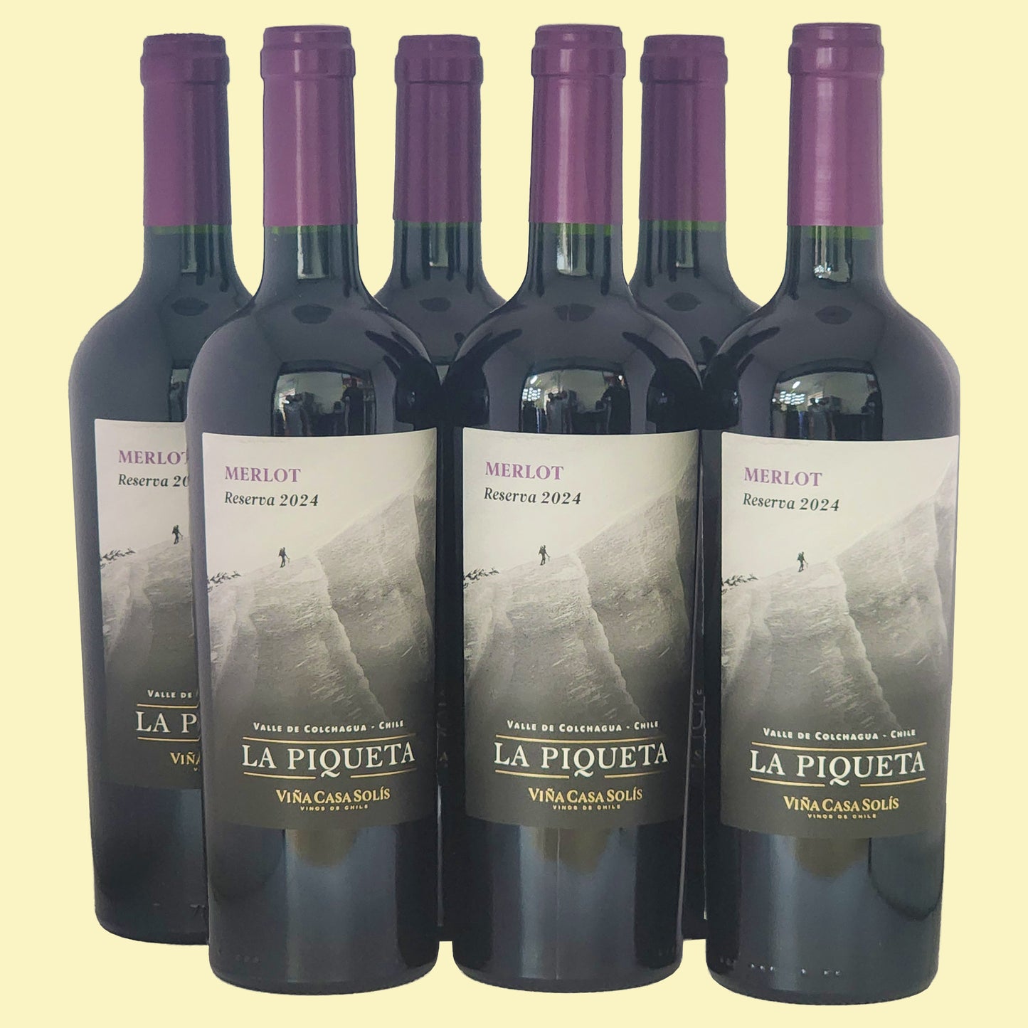 LA PIQUETA Merlot