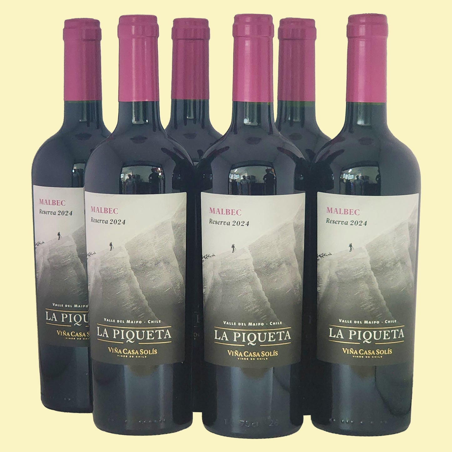 LA PIQUETA Malbec