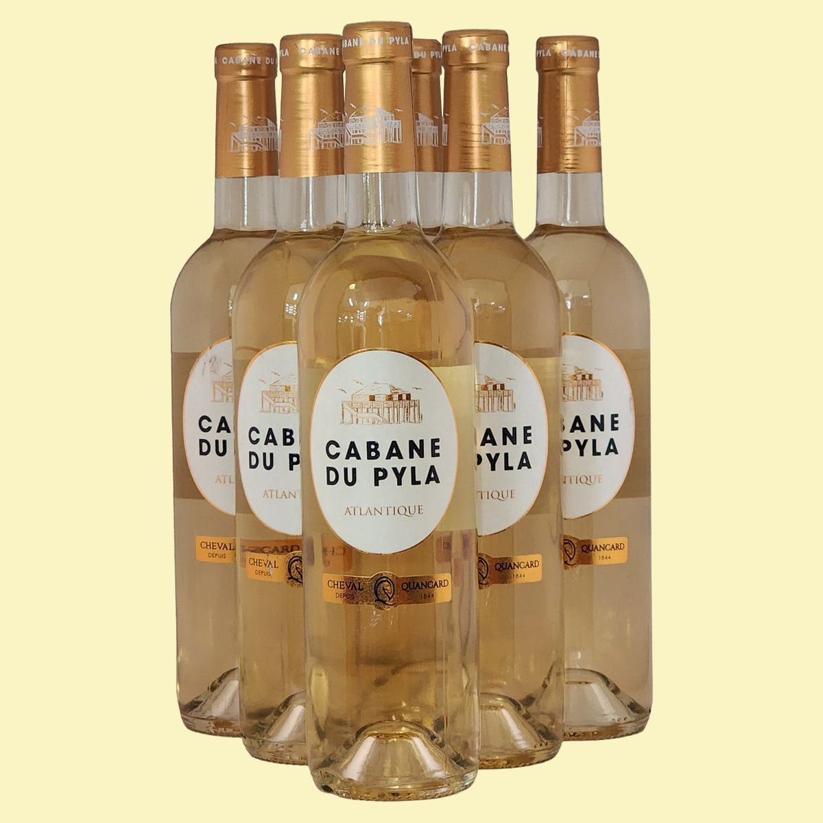 CABANE DU PYLA