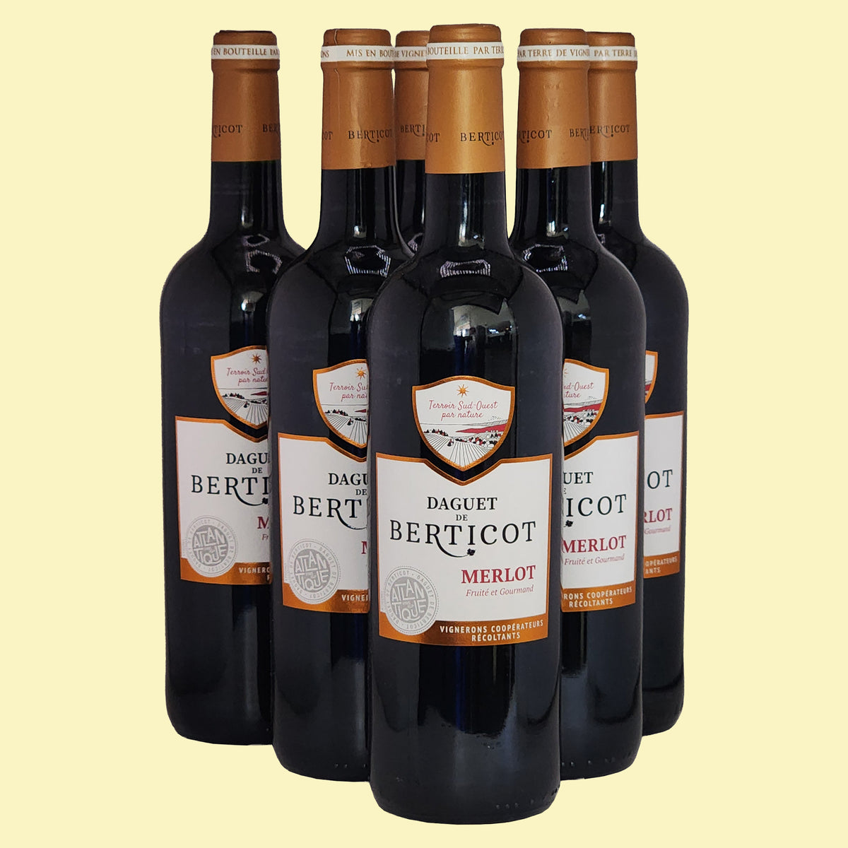 DAGUET DE BERTICOT Merlot